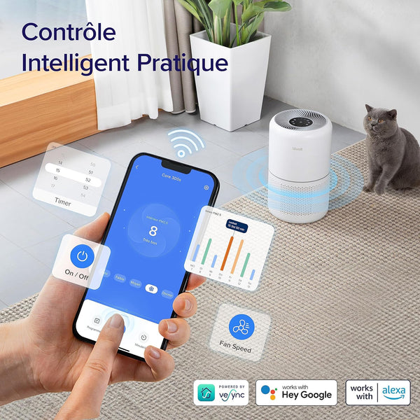 Purificateur d